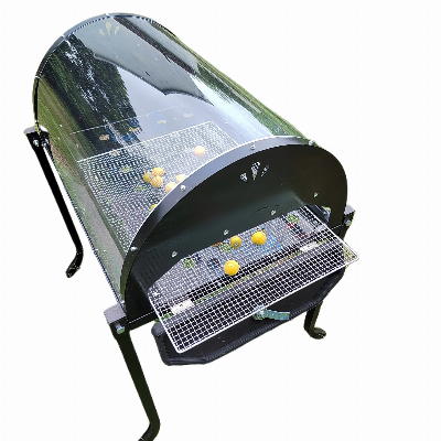 decorative artificial fruit