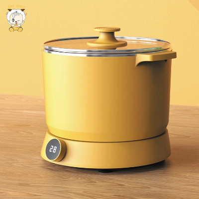 China New Product 2 in 1 Household Application Multifunctional Rice Cooker