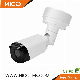 2MP 5MP 4K Sony Starlight WDR Full Color Night Vision Outdoor Waterproof Bullet CCTV Security Surveillance Audio Network Video Poe IP Camera