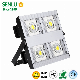  IP66 30W 50W 100W 150W 200W LED Outdoor Stadium LED Flood Light