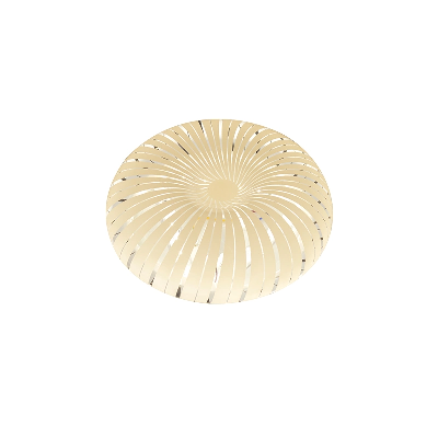 LED Dimmable Indoor Bedroom Balcony Porch Toilet Ceiling Lamp