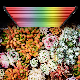  Waterproof UV 720W 1000W Full Spectrum LED Grow Lights for Indoor Plants