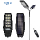 Hyundai Wholesale High Power 100/200/300W Solar LED All-in-One Garden Street Light
