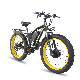 China Warehouse 750W 1000W E Bicycle Pedal Assist Fat Tire Electric Mountain Bike manufacturer