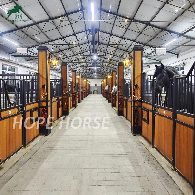 magnetic bracelets and headaches