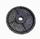  Hot Sale Gym Equipment Cast Iron Weight Plate Bodybuilding Plate Power Equipment Weightlifting Disc Barbell Strength Training Plate Fitness Sport Plate