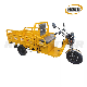  China Manufacturer Popular Model Triciclo Electrico 800W Motor Electric Cargo Tricycle Vehicles for Sale