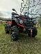 Hot Sell 400cc 500cc 570cc 600cc 650cc Sports Utility ATV 4*4 4 Wheel Motorcycle for Adult