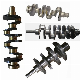 Engine Crankshaft for J05c/J05e/J08c/J08ew04D/N04c/W04c/W06e/W06D/Ek100/Ek100/ED100/EL100/Ep100/H06c/H07CH07D/Ds70/K13c/K13D/P11c/P11c/V22c manufacturer