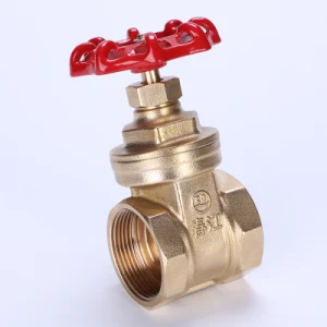 Heavy Duty Internal Thread Brass Gate Valve 1.6MPa/Pn16 (Z101)