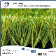  5200 Circles Wear Resistance Football Artificial Synthetic Grass