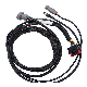  Custom OEM ODM Wiring Harness Engine Wire Low Voltage Wire Harness for Automobile IATF16949 ISO9001 with Jst/Molex/Tyco/Delphi