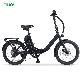  2023 Hot Sale 350W Folding Electric Bike