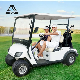  Electric Sightseeing Bus Golf Wholesale Battery Passenger Electric Small Car Mini Car 2 Seater
