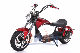  EEC 1000W 1500W Seev Citycoco Electric Motorcycle Scooter E Scooter