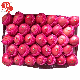  Good Quality Full Red Color 2020 Year New Crop FUJI Apple