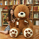  Large Teddy Bear Doll Plush Toy Big Bear Doll Valentine′s Day Gift Girls Confession Dressed Hug Bear