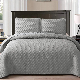  Microfiber Quilts Reversible Bedspreads Patchwork Coverlets Floral Bedding Set All Season Quilts