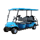  All Aluminum Alloy Floor Sightseeing Club Car Buggy Golf Cart with Elegant Lines
