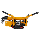  Multi Site Use Spider Crane Easy to Learn Small Size Crane Heavy Crawler Crane