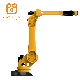  Manipulator for Automatic Spray Painting Robot with ISO and CE Jzj100A-270