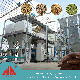 High Output 5 T/H Chicken Feed Pellet 2 Ton Cattle Feed Production manufacturer