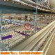 Automatic Hot-Galvanized Multi-Tier H-Frame Battery Poultry Farming Equipment for Chicken Layer Cage