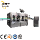 Automatic Pet Bottle Carbonated Beverage Juice Drink Beer Soda Water Soft Drink Water Gas Water Liquid Filling Bottling Machine manufacturer