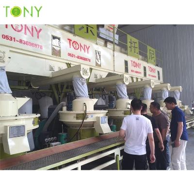 Wood Pellet Making Line Sawdust Pelleting Machine Line Biofuel Pellet Production Line