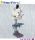  Variable Speed Column Type 50mm Vertical Drilling Machine Ssb50xn