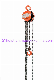  HS-C Type 1 Ton Chain Block Lifting