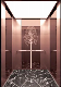 Fujixun Electric Mirror Etching Stainless Steel Villa Home Panoramic Freight Cargo Car Goods Residential Sightseeing Glass Passenger Elevator Lift