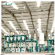 High Quality 100t/24h Maize Flour Grits Mill Milling Plant Prices manufacturer