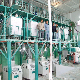 62t/24h Wheat Flour Milling Machine for Africa Market manufacturer