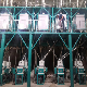 62t/Day Reliable Performance Wheat Milling Mill Macaroni Flour manufacturer
