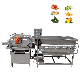  Industrial Automatic Ozone Vegetable and Fruit Washing Machine with Bubble