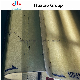  Paper Making Press Felt Seamed/ Endless Pick up Bom Felt