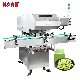  GS-8 Pharmaceutical Easy Operation Calcium Vitamin C Salt Tablet Capsule Counter Machine