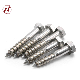  Stainless Steel Coach Screws 304/316 Hex Head Wood Screw DIN571 Coach Screws Hex Lag Screws