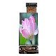  Color Amoled Micro OLED Display Price with Touch Screen 0.96-Inch 120X240 Resolution for Various Uses