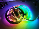  12V 24V 60LED/M 5050 Magic Digital LED Strip with External IC RGB LED Strip for Decoration