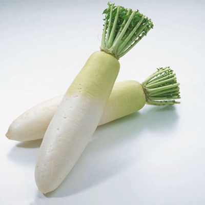 Chinese Fresh White Radish Manufacture From Supplying All The Year Round
