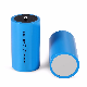  Er34615m 3.6V 14500mAh D Size Primary Thionyl Chloride Battery