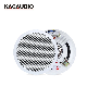  6.5 Inch Passive Ceiling Speaker with New Design Style