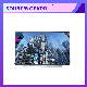  Ronen Medical Instruments 13.3inch LCD Monitor Display with 56 LED Laptop Screen
