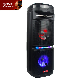  Portable Dual 6.5 Inch Wholesale Karaoke Party Box 1000 300 200 100 Audio Loud Speaker