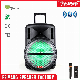  Waterproof Mosque Meeting KTV Outdoor Popular 15 Inch Portable Trolley Audio Loud Speaker