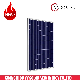  V V Brand Solar Panels 100kw 80kw 60kw 50kw 40kw Outdoor Power Generation Solar Panels