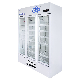  Gsp Standard Three-Door Dual Layer Glass Biomedical Laboratory Hospital Medical Storage LC-980d