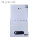  Hotsale Tankless Instant Gas Water Heater Shower for Floor Heating and Bath